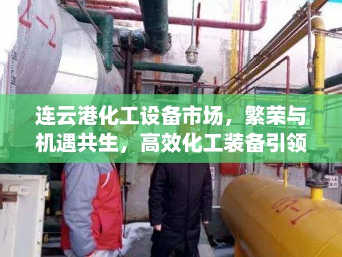 连云港化工设备市场，繁荣与机遇共生，高效化工装备引领发展之道