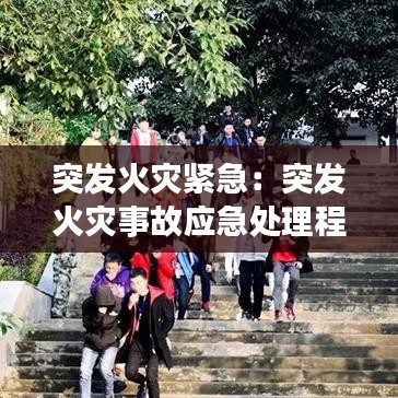 突发火灾紧急：突发火灾事故应急处理程序 