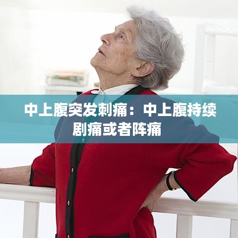 飞箭如蝗 第2页