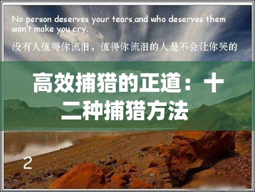 高效捕猎的正道：十二种捕猎方法 