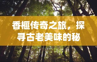 香榧传奇之旅，探寻古老美味的秘密之旅