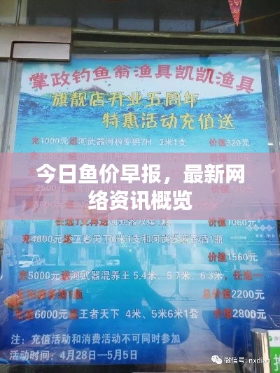 今日鱼价早报，最新网络资讯概览