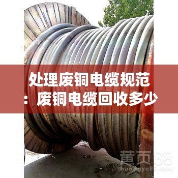 飞来飞去 第2页
