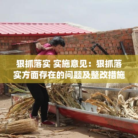 狠抓落实 实施意见：狠抓落实方面存在的问题及整改措施 