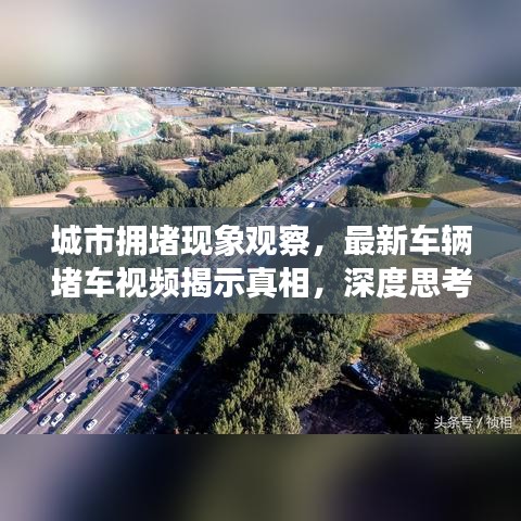 城市拥堵现象观察，最新车辆堵车视频揭示真相，深度思考解决方案