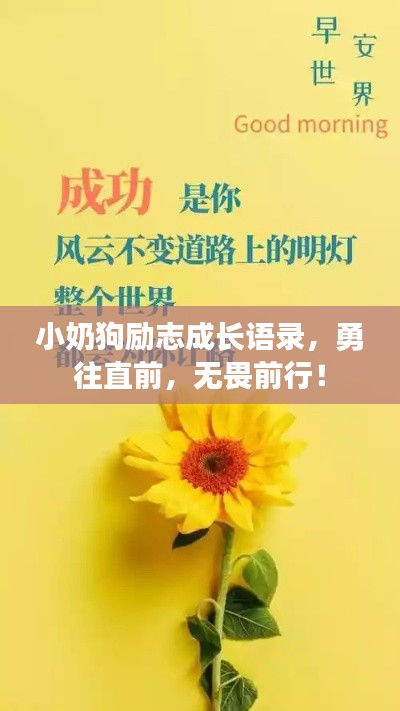 小奶狗励志成长语录，勇往直前，无畏前行！