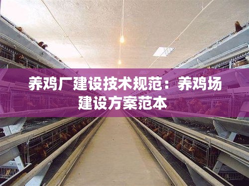 养鸡厂建设技术规范：养鸡场建设方案范本 