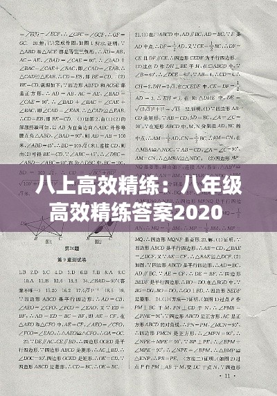 八上高效精练：八年级高效精练答案2020 