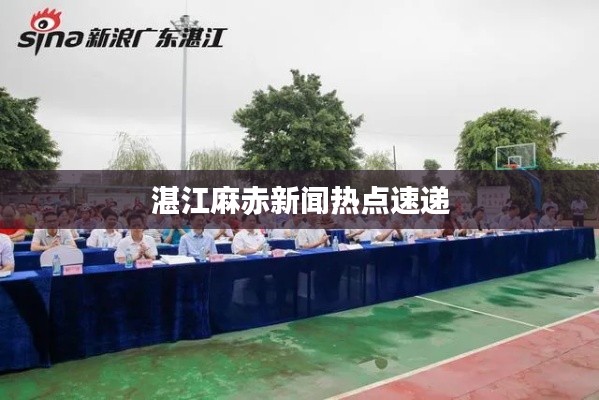湛江麻赤新闻热点速递