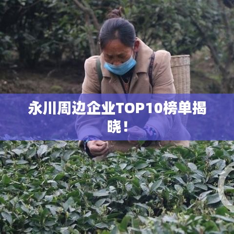 永川周边企业TOP10榜单揭晓！