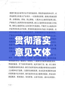 贯彻落实意见文体：贯彻实施意见用什么文种 