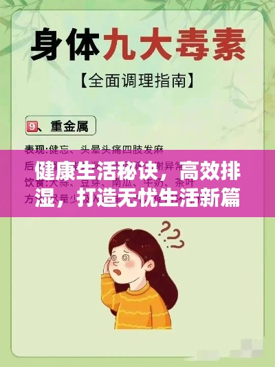 健康生活秘诀，高效排湿，打造无忧生活新篇章