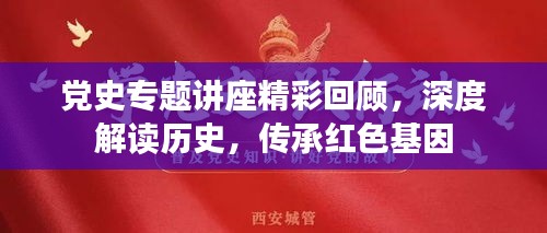 党史专题讲座精彩回顾，深度解读历史，传承红色基因