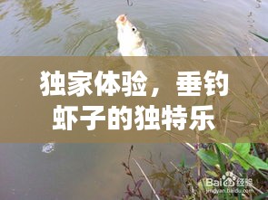 独家体验，垂钓虾子的独特乐趣！
