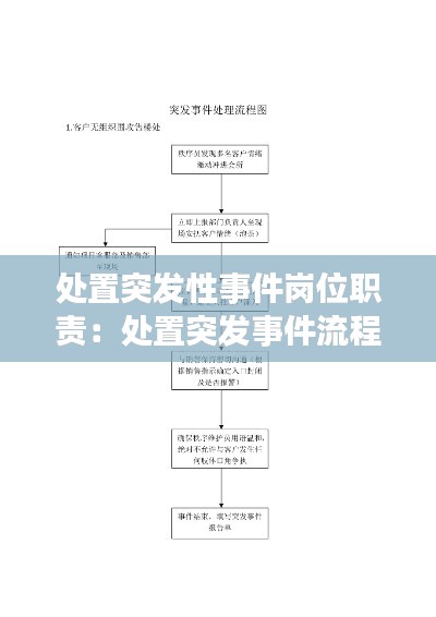 处置突发性事件岗位职责：处置突发事件流程图 
