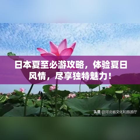 日本夏至必游攻略，体验夏日风情，尽享独特魅力！
