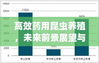高效药用昆虫养殖，未来前景展望与巨大潜力分析