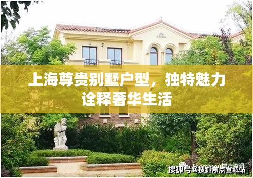 上海尊贵别墅户型，独特魅力诠释奢华生活