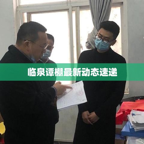 临泉谭棚最新动态速递
