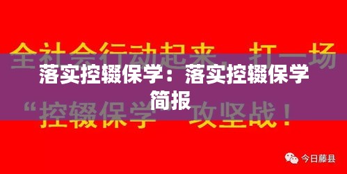 落实控辍保学：落实控辍保学简报 