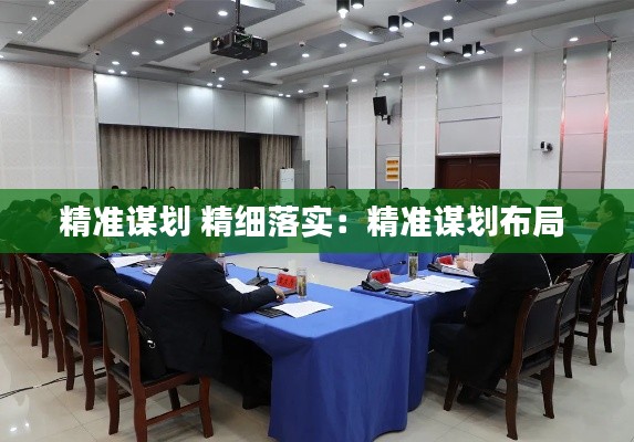 精准谋划 精细落实：精准谋划布局 