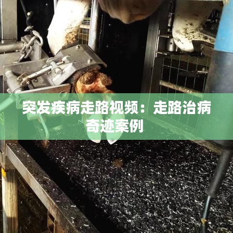 突发疾病走路视频：走路治病奇迹案例 