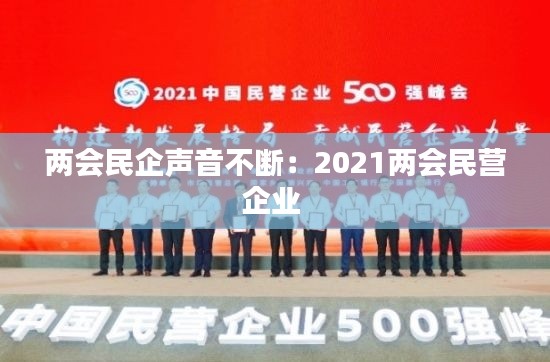 两会民企声音不断：2021两会民营企业 