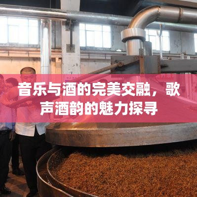 音乐与酒的完美交融，歌声酒韵的魅力探寻