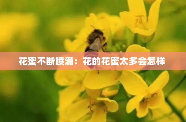 花蜜不断喷涌：花的花蜜太多会怎样 
