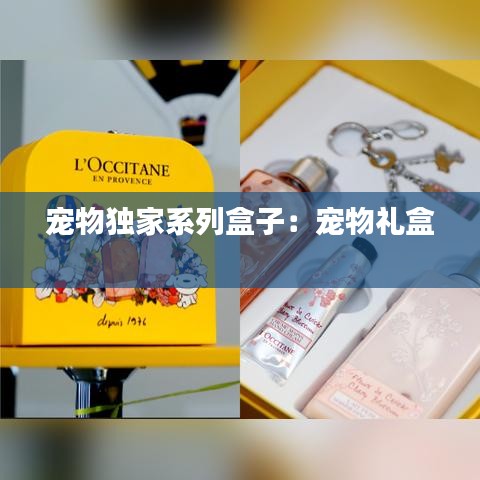宠物独家系列盒子：宠物礼盒 