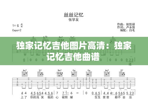独家记忆吉他图片高清：独家记忆吉他曲谱 