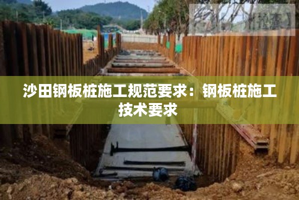 沙田钢板桩施工规范要求：钢板桩施工技术要求 