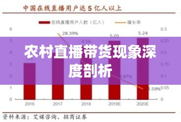 农村直播带货现象深度剖析