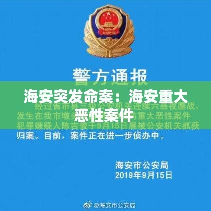 海安突发命案：海安重大恶性案件 