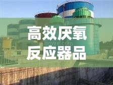 高效厌氧反应器品牌排名：厌氧反应器有哪些?各有什么特点 