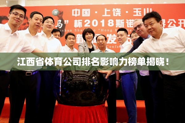 江西省体育公司排名影响力榜单揭晓！