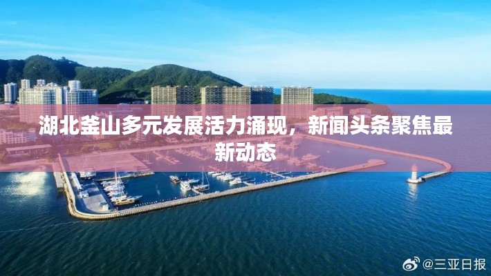 湖北釜山多元发展活力涌现，新闻头条聚焦最新动态