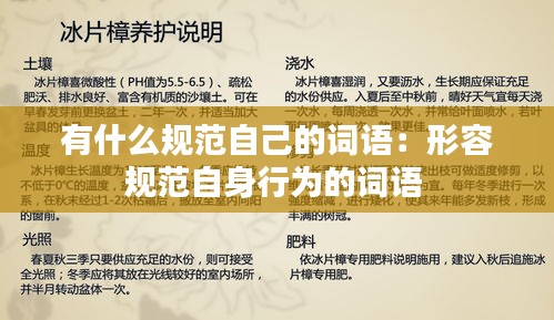 有什么规范自己的词语：形容规范自身行为的词语 