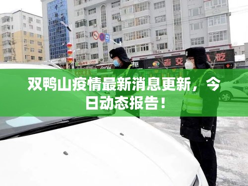 双鸭山疫情最新消息更新，今日动态报告！
