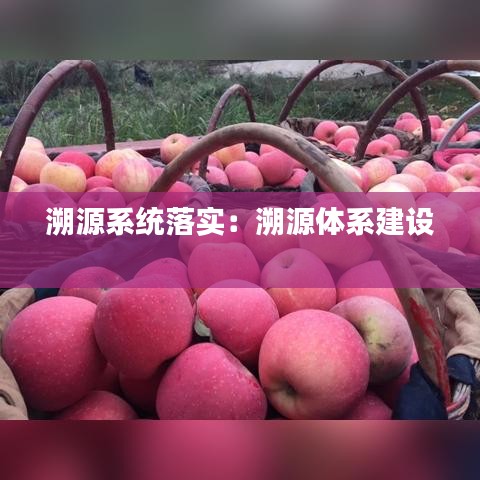 溯源系统落实：溯源体系建设 