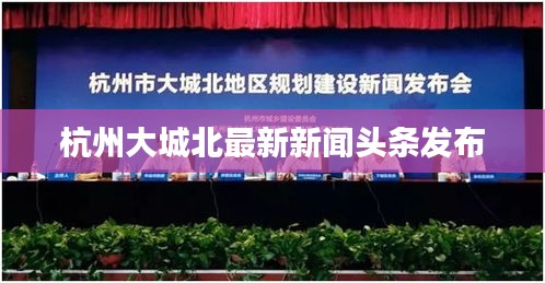 杭州大城北最新新闻头条发布