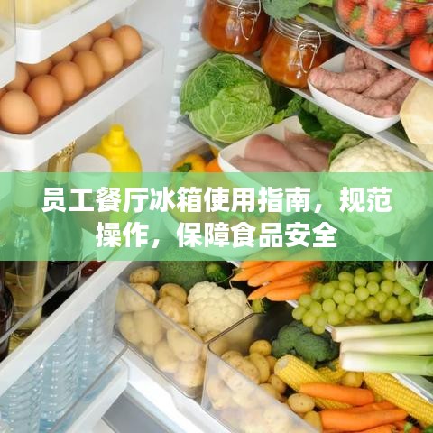 员工餐厅冰箱使用指南，规范操作，保障食品安全