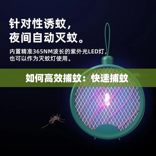 如何高效捕蚊：快速捕蚊 