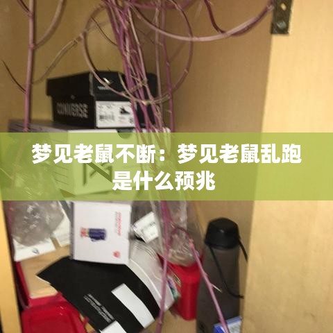 梦见老鼠不断：梦见老鼠乱跑是什么预兆 