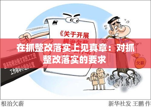 在抓整改落实上见真章：对抓整改落实的要求 