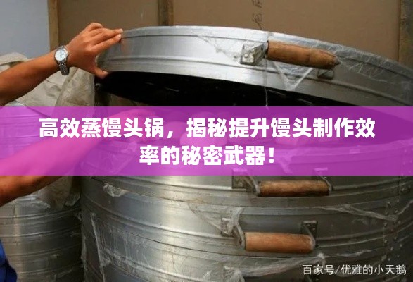 高效蒸馒头锅，揭秘提升馒头制作效率的秘密武器！