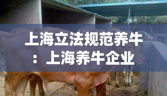 上海立法规范养牛：上海养牛企业 