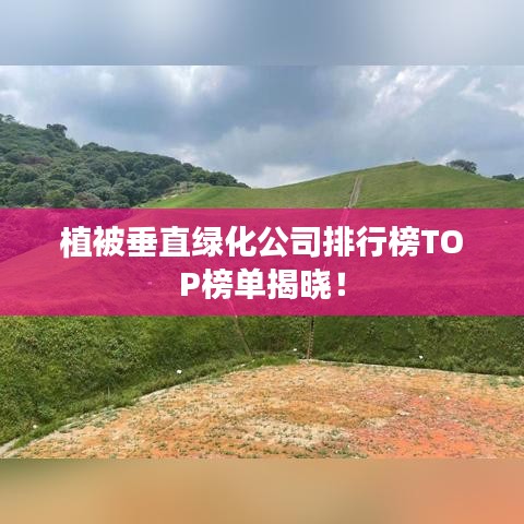 植被垂直绿化公司排行榜TOP榜单揭晓！
