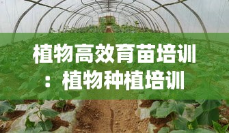 植物高效育苗培训：植物种植培训 