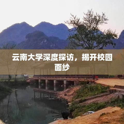 云南大学深度探访，揭开校园面纱